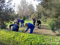 “Yaşıl dünya naminə həmrəylik ili” çərçivəsində SOCAR-ın təşkilatçılığı ilə ağacəkmə aksiyası keçirilib (FOTO)