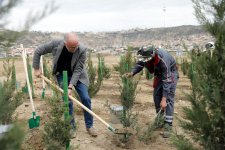 “Yaşıl dünya naminə həmrəylik ili” çərçivəsində SOCAR-ın təşkilatçılığı ilə ağacəkmə aksiyası keçirilib (FOTO)