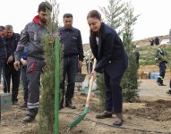 “Yaşıl dünya naminə həmrəylik ili” çərçivəsində SOCAR-ın təşkilatçılığı ilə ağacəkmə aksiyası keçirilib (FOTO)