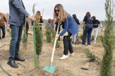 “Yaşıl dünya naminə həmrəylik ili” çərçivəsində SOCAR-ın təşkilatçılığı ilə ağacəkmə aksiyası keçirilib (FOTO)