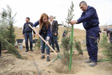 “Yaşıl dünya naminə həmrəylik ili” çərçivəsində SOCAR-ın təşkilatçılığı ilə ağacəkmə aksiyası keçirilib (FOTO)