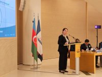 İnkişaf və Diplomatiya İnstitutu və tərəfdaşlarının təşkilatçılığı ilə İqlim və Su Sammiti keçirilib (FOTO)