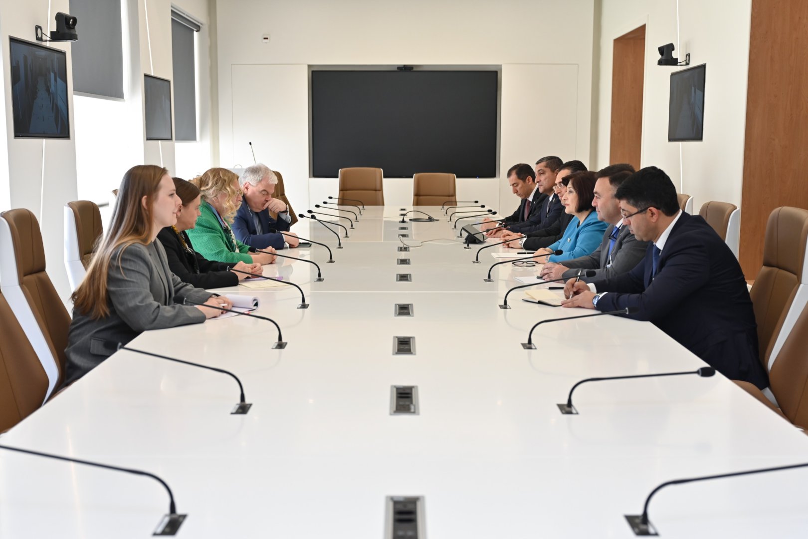 Sahibə Qafarova BMT-nin Cenevrədəki Ofisinin Baş direktoru ilə görüşüb (FOTO)