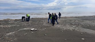 Xaçmazda ekoloji aksiya keçirilib (FOTO)
