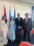 Heydər Əliyev Fondunun vitse-prezidenti Leyla Əliyeva İsveçrədə BMT ofisində görüşlər keçirib (FOTO)