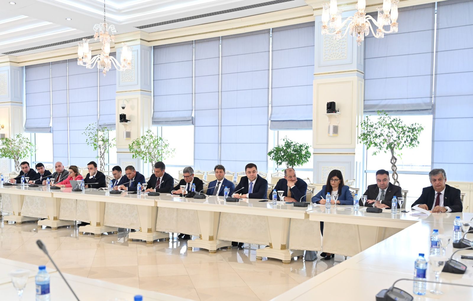 İqtisadi siyasət, sənaye və sahibkarlıq komitəsinin TikTok platformasının nümayəndə heyəti ilə görüşü keçirilib (FOTO)