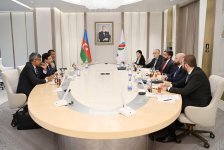 SOCAR prezidenti Hindistanın “ONGC Videsh Limited” şirkətinin rəhbəri ilə görüşüb (FOTO)