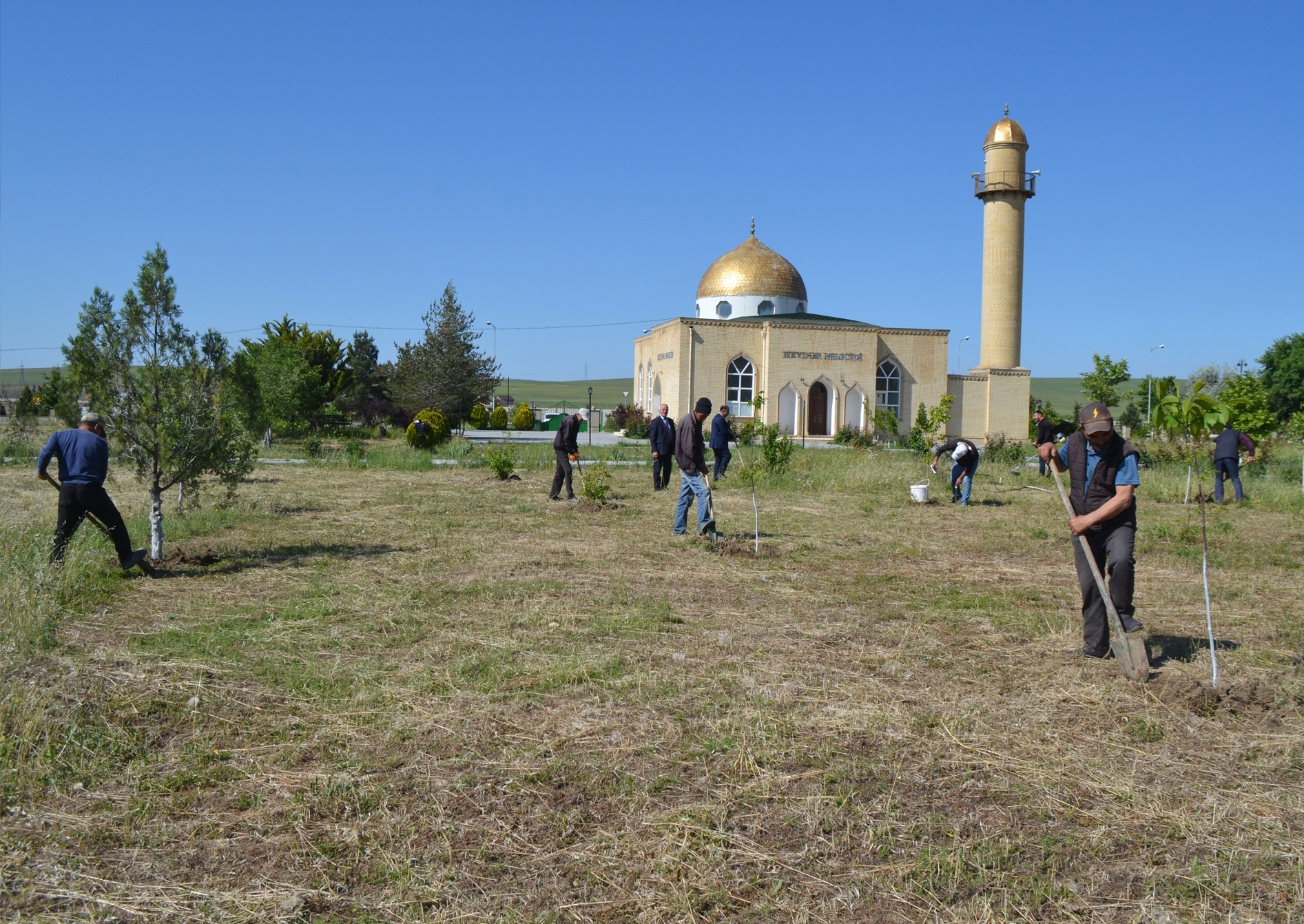 “Yaşıl gələcək naminə” aksiyası davam etdirilir (FOTO)
