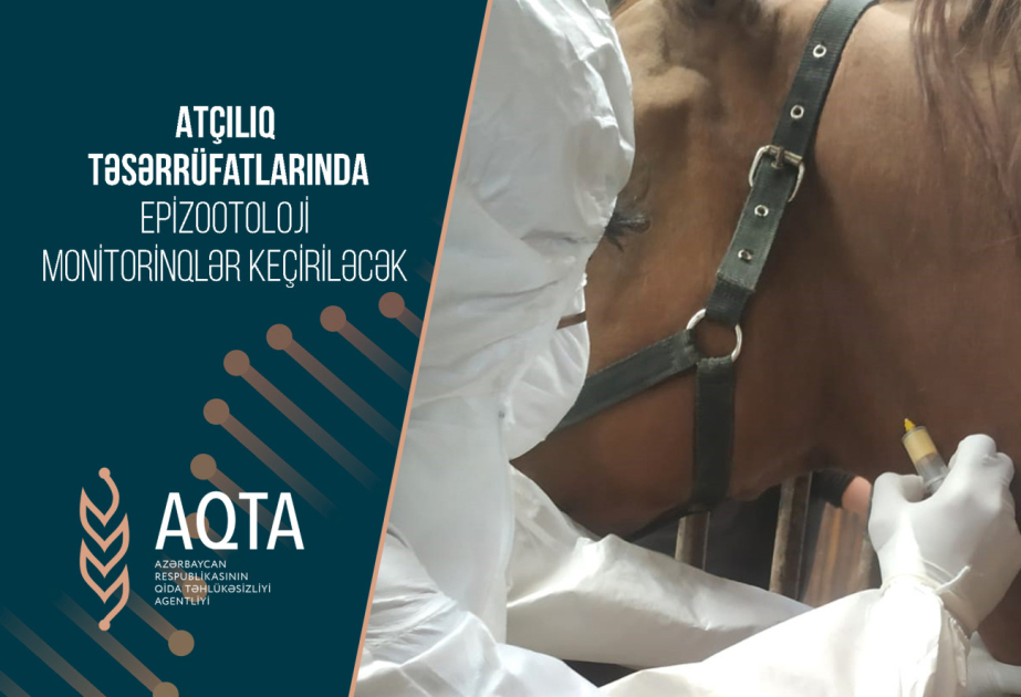 Atçılıq təsərrüfatlarında epizootoloji monitorinqlər keçiriləcək