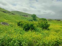 Qazaxın azad olunan kəndlərindən görüntülər (FOTO/VİDEO) (YENİLƏNİB)