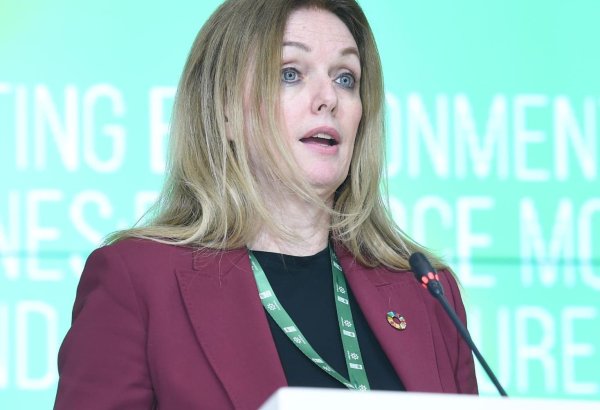 COP29-a hazırlıq çərçivəsində Azərbaycanda mina əleyhinə fəaliyyət xüsusən vacibdir - İvana Jivkoviç