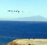 Efes-2024" təliminin "Yüksək Səviyyəli Müşahidəçi Günü" keçirilib (FOTO)