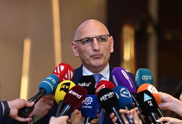 Azərbaycan Çexiya ilə enerji əməkdaşlığının genişləndirilməsi potensialını görür - Elçin Əmirbəyov