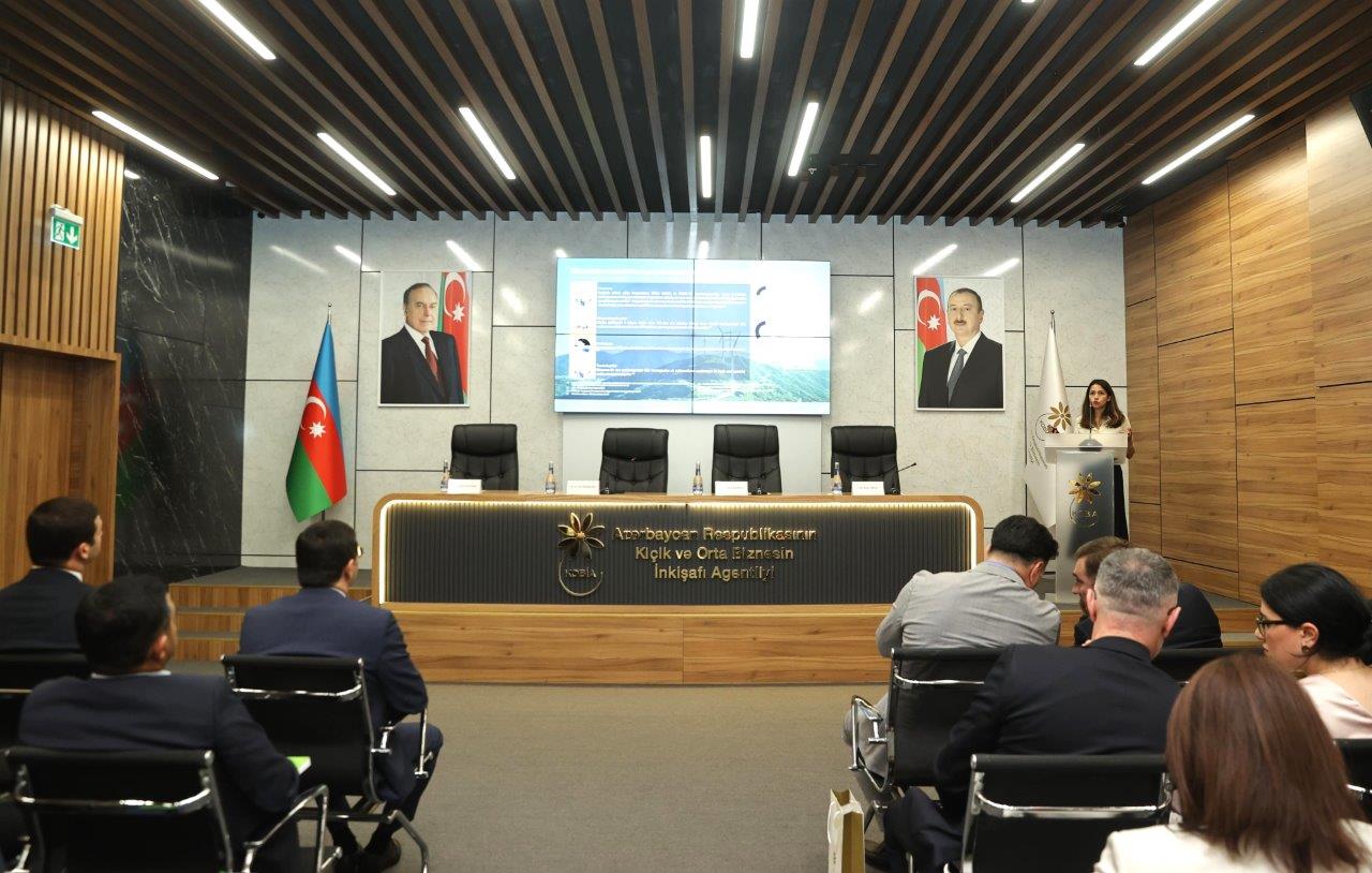 Dövlət və özəl sektorun iştirakı ilə “yaşıl iqtisadiyyat”a keçiddə ESG prinsiplərinin əhəmiyyətinə dair konfrans keçirilib (FOTO)
