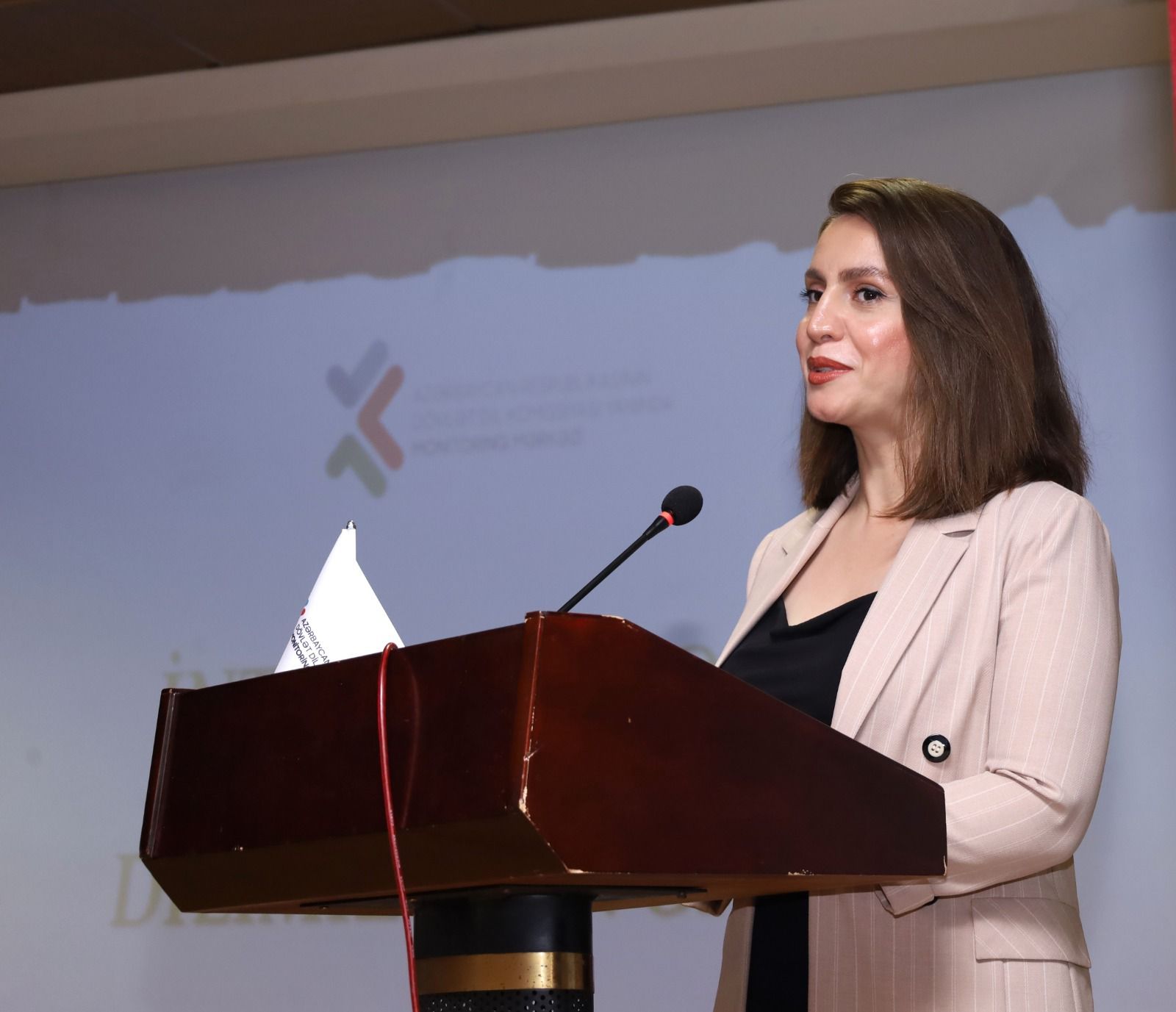 “Ana dilimiz və təhsil” layihəsi çərçivəsində 132-134 nömrəli Təhsil Kompleksində tədbir keçirilib (FOTO)