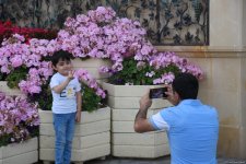Bu gün onların günüdür (FOTOSESSİYA)