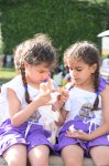 Bu gün onların günüdür (FOTOSESSİYA)