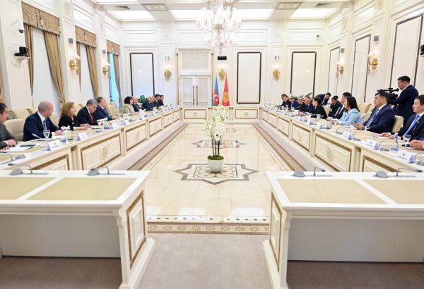 Sahibə Qafarova qırğızıstanlı həmkarı ilə görüşüb