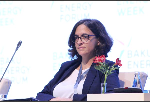 Sloveniya BEM sahəsində öz təcrübəsini Azərbaycana təklif edə bilər - Energetika üzrə dövlət katibi
