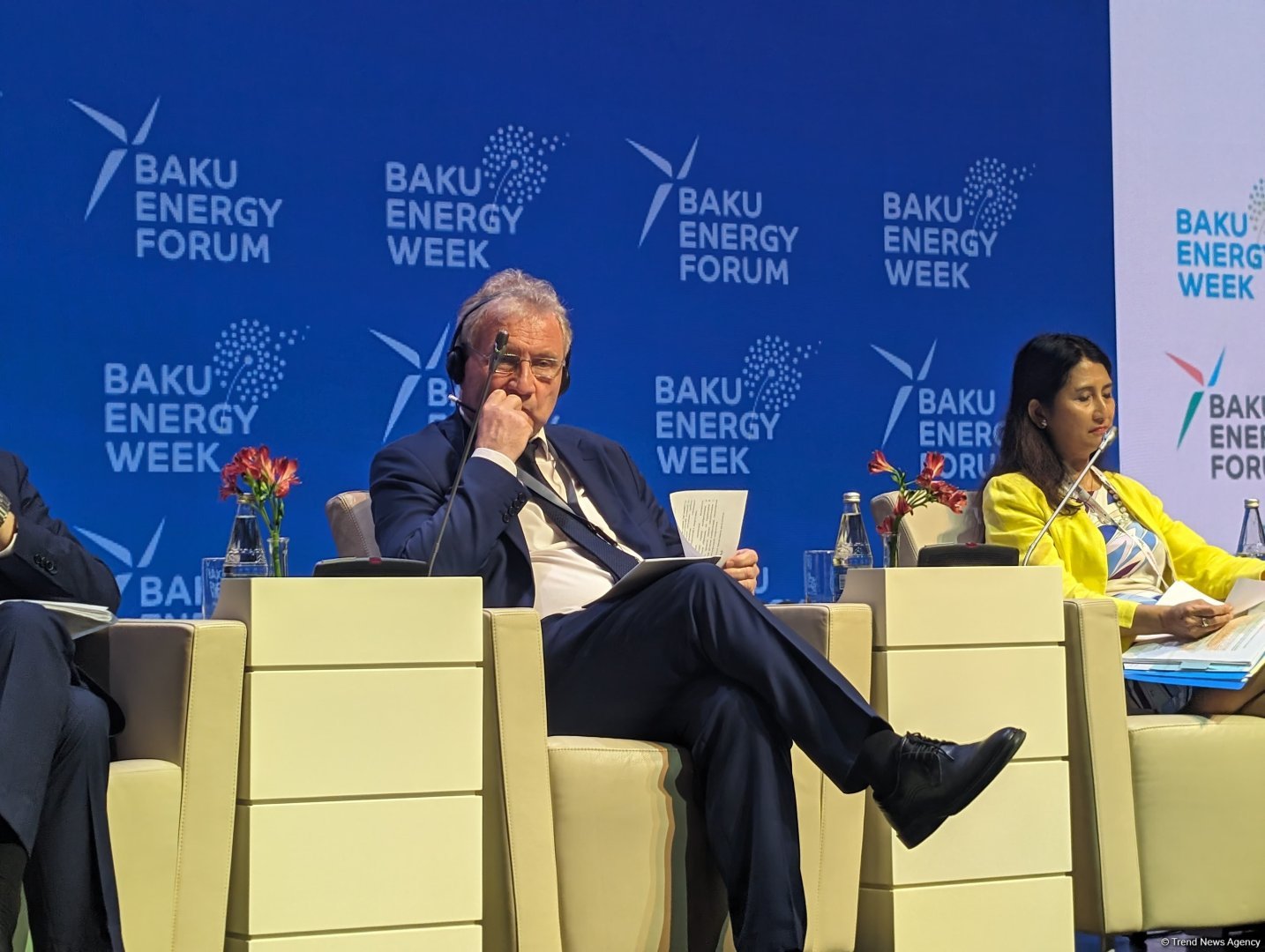 Avrasiya Patent İdarəsinin prezidenti "yaşıl" enerji sahəsində əsas problemdən danışıb