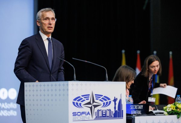 NATO Ukraynanın üzvlüyü ilə bağlı yekdil qərar olmalıdır - Stoltenberq