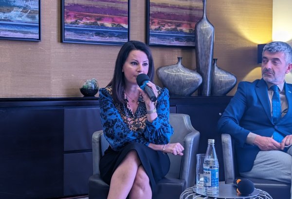 Azercell-in ESG strategiyasına dörd komponent daxildir - Şirin Əliyeva