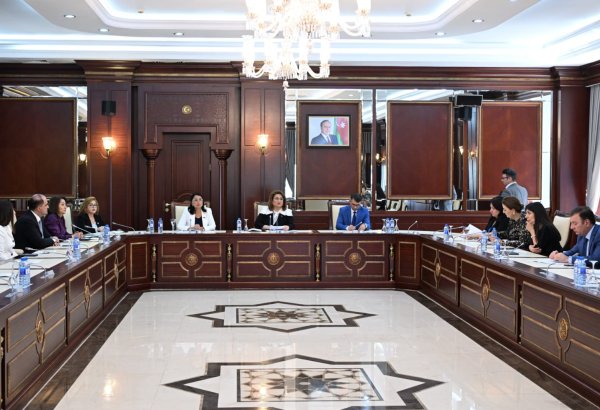 Ailə, qadın və uşaq məsələləri komitəsinin iclası keçirilib (FOTO)
