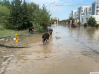 Yevlax və Mingəçevirdə bəzi əraziləri su basıb, vətəndaşlar təxliyə olunur (FOTO)