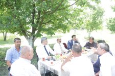 Xaçmazın gilas bağlarında məhsul yığımına başlanılıb (FOTO)