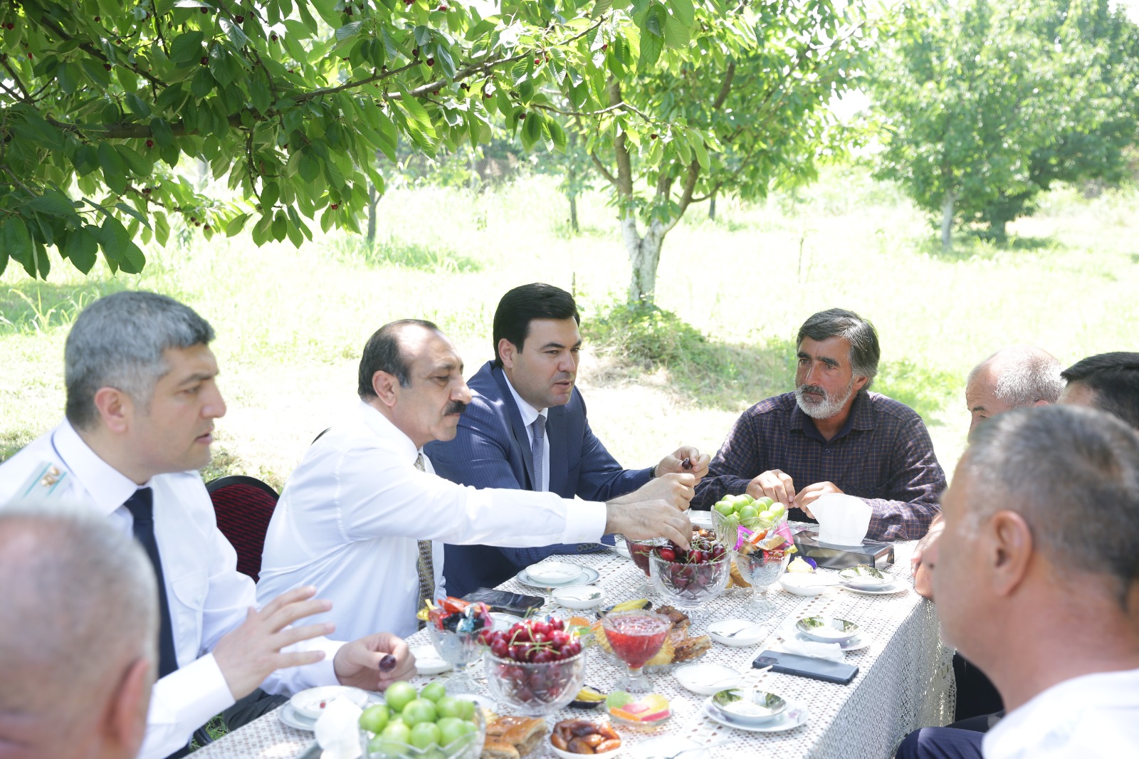 Xaçmazın gilas bağlarında məhsul yığımına başlanılıb (FOTO)
