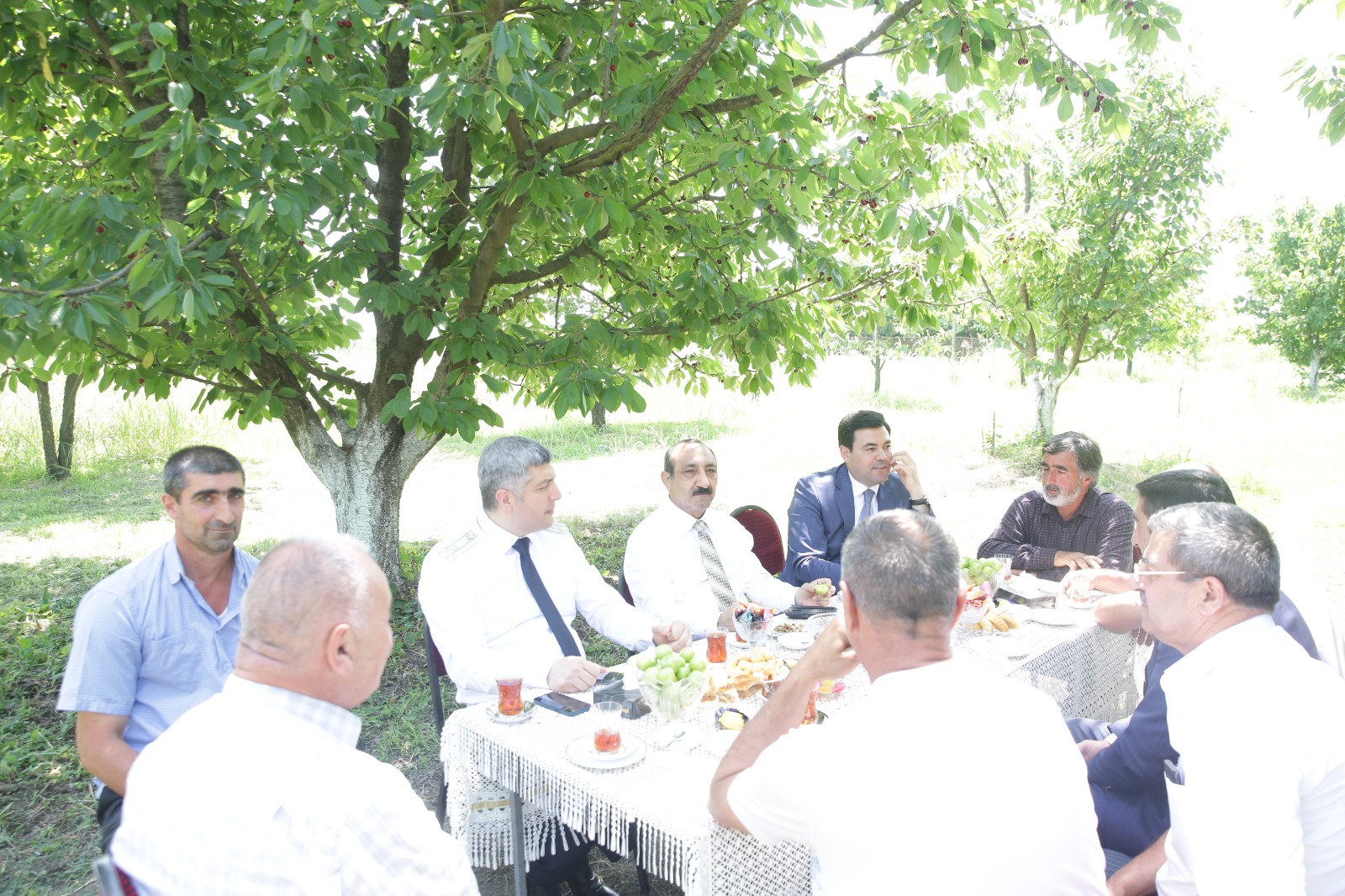 Xaçmazın gilas bağlarında məhsul yığımına başlanılıb (FOTO)