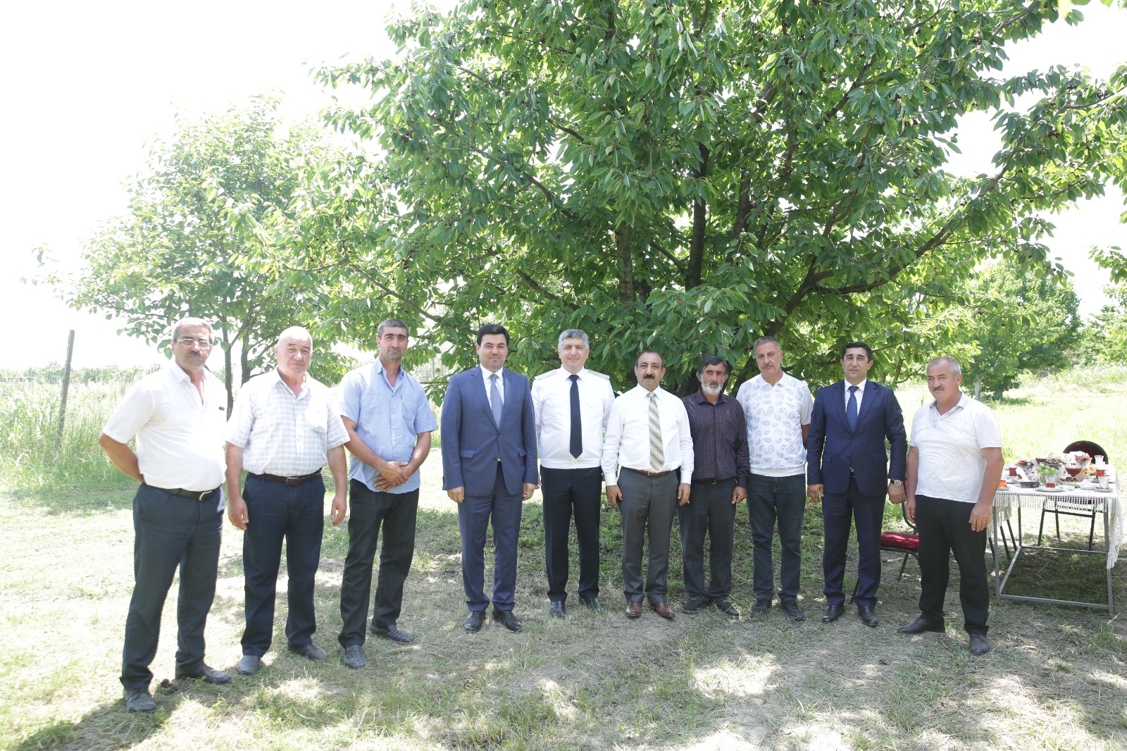Xaçmazın gilas bağlarında məhsul yığımına başlanılıb (FOTO)