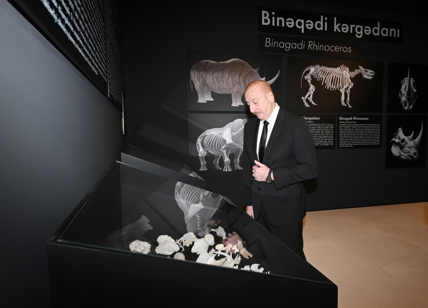 Prezident İlham Əliyev Palçıq Vulkanları Turizm Kompleksinin açılışında iştirak edib (FOTO/VİDEO))
