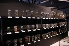 Palçıq Vulkanları Turizm Kompleksindən FOTOREPORTAJ - Giriş qiymətləri