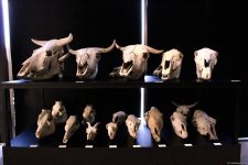 Palçıq Vulkanları Turizm Kompleksindən FOTOREPORTAJ - Giriş qiymətləri