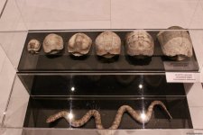 Palçıq Vulkanları Turizm Kompleksindən FOTOREPORTAJ - Giriş qiymətləri