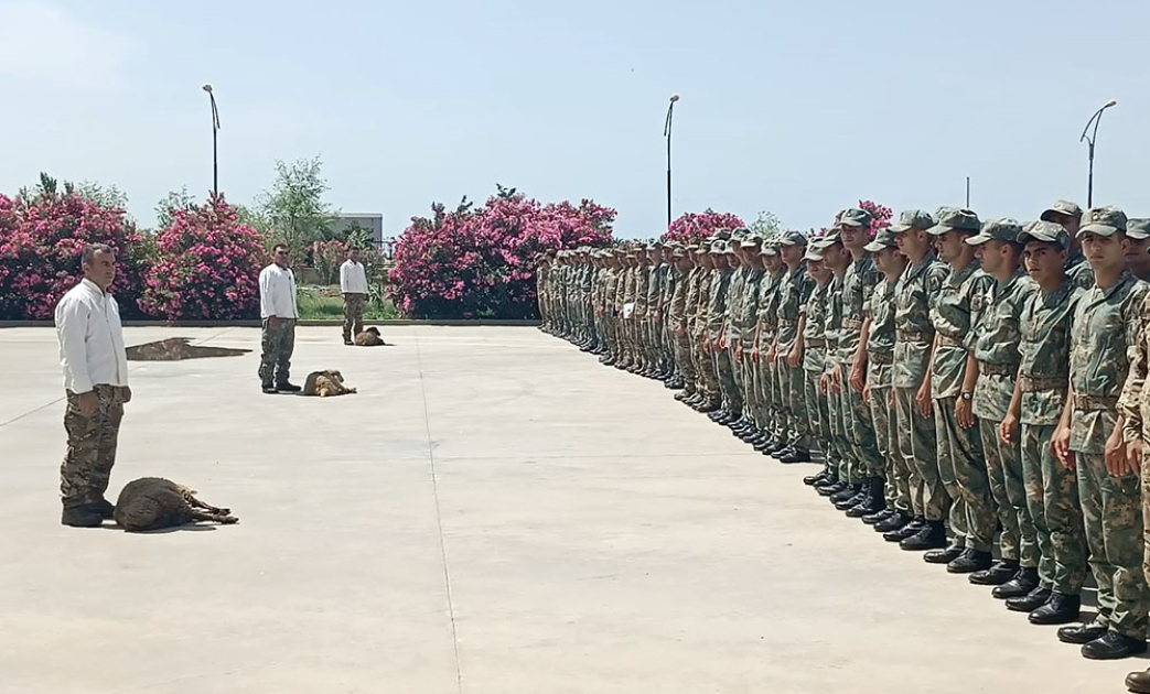 Azərbaycan Ordusunda Qurban bayramı münasibətilə tədbirlər keçirilib (FOTO)