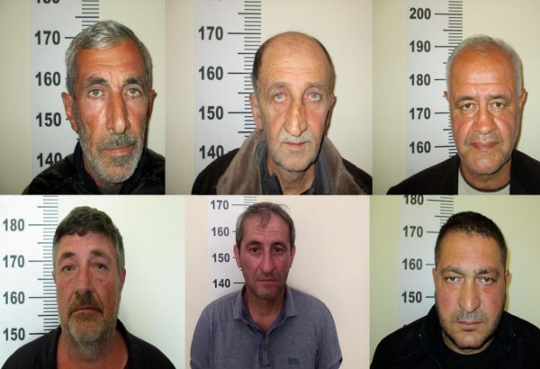 Oğuzda çətənə kolları becərənlər və narkokuryerlər saxlanılıb