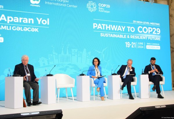 Bakıda “COP29-a Aparan Yol: Dayanıqlı və Davamlı Gələcək” barədə panel müzakirəsi keçirilib (FOTO) (YENİLƏNİB)