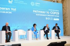 Bakıda “COP29-a Aparan Yol: Dayanıqlı və Davamlı Gələcək” barədə panel müzakirəsi keçirilib (FOTO) (YENİLƏNİB)