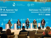 Bakıda “COP29-a aparan yol - Dayanıqlı və Davamlı Gələcək” adlı 29-cu Ali Səviyyəli Toplantı keçirilib (FOTO) (YENİLƏNİB)