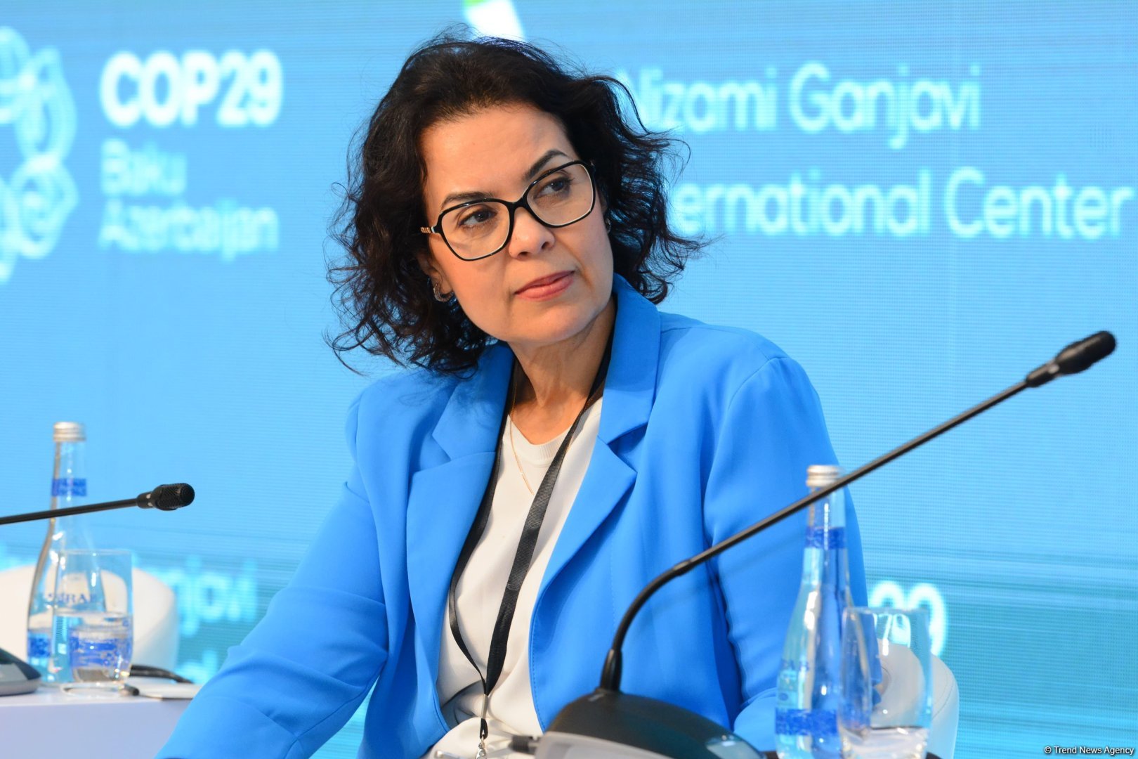 Bakıda “COP29-a Aparan Yol: Dayanıqlı və Davamlı Gələcək” barədə panel müzakirəsi keçirilib (FOTO) (YENİLƏNİB)