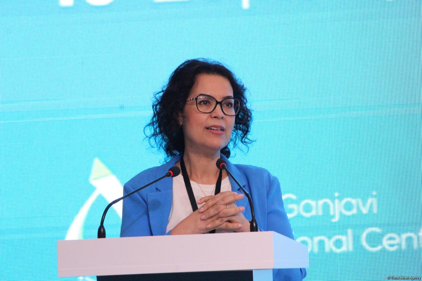 Bakıda “COP29-a aparan yol - Dayanıqlı və Davamlı Gələcək” adlı 29-cu Ali Səviyyəli Toplantı keçirilib (FOTO) (YENİLƏNİB)