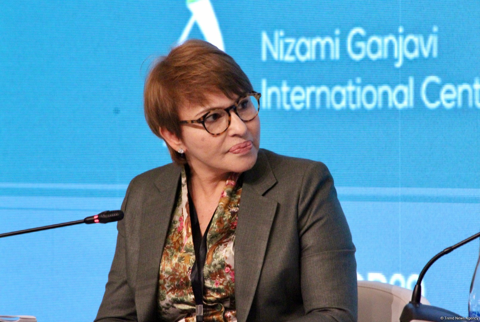 Bakıda “COP29-a aparan yol - Dayanıqlı və Davamlı Gələcək” adlı 29-cu Ali Səviyyəli Toplantı keçirilib (FOTO) (YENİLƏNİB)