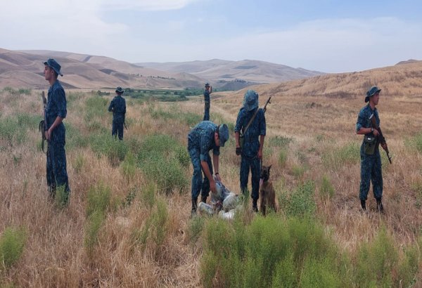 Sərhəddə geniş əməliyyat: külli miqdarda narkotik ələ keçdi (FOTO)