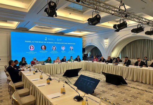 “COP29-a Aparan Yol: Dayanıqlı və Davamlı Gələcək” başlıqlı Yüksək Səviyyəli Toplantısının ikinci günü keçirilib (FOTO)