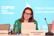 “COP29-a Aparan Yol: Dayanıqlı və Davamlı Gələcək” başlıqlı Yüksək Səviyyəli Toplantısının ikinci günü keçirilib (FOTO)