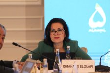“COP29-a Aparan Yol: Dayanıqlı və Davamlı Gələcək” başlıqlı Yüksək Səviyyəli Toplantısının ikinci günü keçirilib (FOTO)