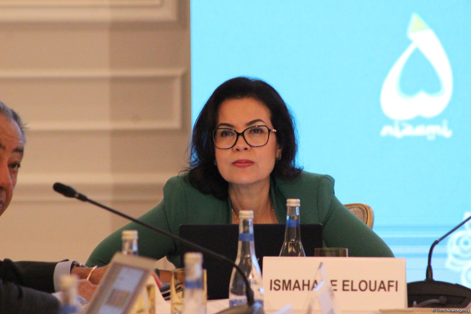 “COP29-a Aparan Yol: Dayanıqlı və Davamlı Gələcək” başlıqlı Yüksək Səviyyəli Toplantısının ikinci günü keçirilib (FOTO)