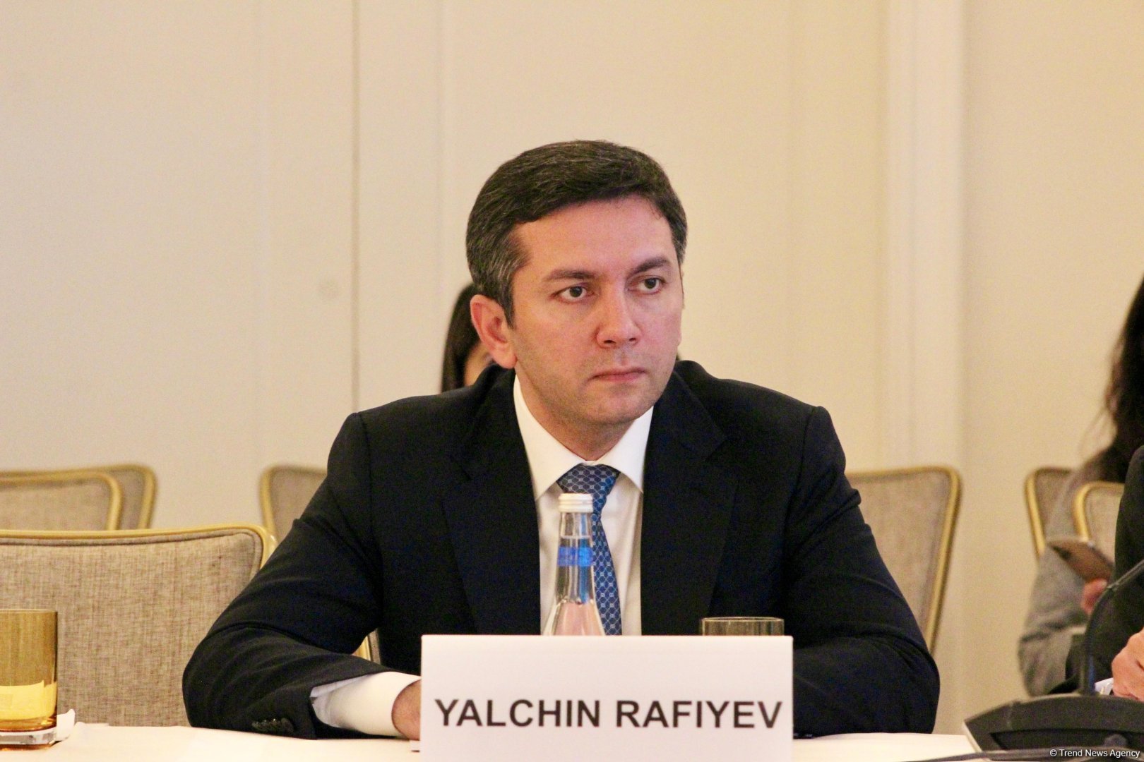 COP29-da 60-a yaxın bəyanatın verilməsi gözlənilir - Yalçın Rəfiyev
